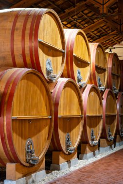 Eski büyük meşe fıçılarıyla şarap mahzeni ziyareti, Marsala, Sicilya 'da güçlendirilmiş kuru veya tatlı marsala şarabı üretimi, İtalya' da şarap endüstrisi