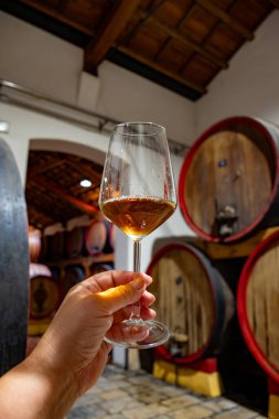 Eski büyük meşe fıçılarıyla şarap mahzenini ziyaret etmek, Marsala, Sicilya, İtalya ve şarap endüstrisindeki varillerden alınmış bir bardak güçlendirilmiş veya lezzetli marsala şarabı.