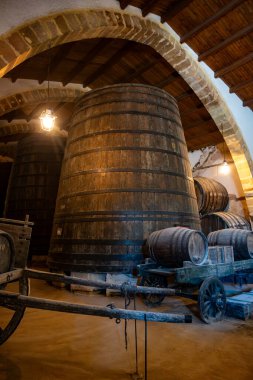 Eski büyük meşe fıçılarıyla şarap mahzeni ziyareti, Marsala, Sicilya 'da güçlendirilmiş kuru veya tatlı marsala şarabı üretimi, İtalya' da şarap endüstrisi