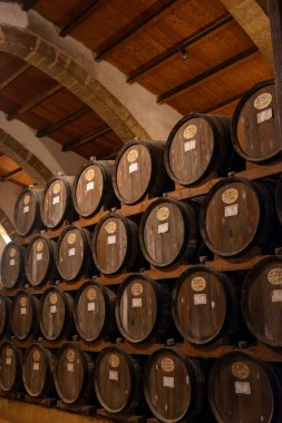 Eski büyük meşe fıçılarıyla şarap mahzeni ziyareti, Marsala, Sicilya 'da güçlendirilmiş kuru veya tatlı marsala şarabı üretimi, İtalya' da şarap endüstrisi