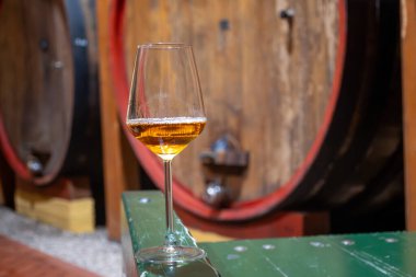 Eski büyük meşe fıçılarıyla şarap mahzenini ziyaret etmek, Marsala, Sicilya, İtalya ve şarap endüstrisindeki varillerden alınmış bir bardak güçlendirilmiş veya lezzetli marsala şarabı.