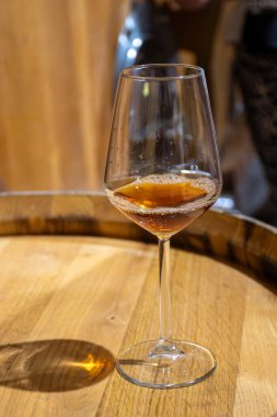 Eski büyük meşe fıçılarıyla şarap mahzenini ziyaret etmek, Marsala, Sicilya, İtalya ve şarap endüstrisindeki varillerden alınmış bir bardak güçlendirilmiş veya lezzetli marsala şarabı.