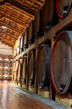 Eski büyük meşe fıçılarıyla şarap mahzeni ziyareti, Marsala, Sicilya 'da güçlendirilmiş kuru veya tatlı marsala şarabı üretimi, İtalya' da şarap endüstrisi
