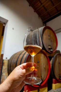 Eski büyük meşe fıçılarıyla şarap mahzenini ziyaret etmek, Marsala, Sicilya, İtalya ve şarap endüstrisindeki varillerden alınmış bir bardak güçlendirilmiş veya lezzetli marsala şarabı.