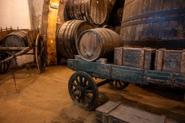 Eski büyük meşe fıçılarıyla şarap mahzeni ziyareti, Marsala, Sicilya 'da güçlendirilmiş kuru veya tatlı marsala şarabı üretimi, İtalya' da şarap endüstrisi