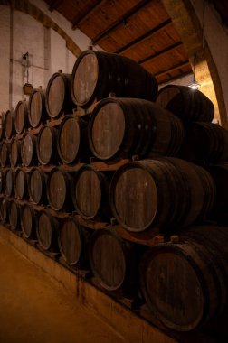 Eski büyük meşe fıçılarıyla şarap mahzeni ziyareti, Marsala, Sicilya 'da güçlendirilmiş kuru veya tatlı marsala şarabı üretimi, İtalya' da şarap endüstrisi