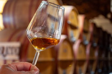 Eski büyük meşe fıçılarıyla şarap mahzeni ziyareti, el ele tutuşma, güçlendirilmiş kuru veya tatlı marsala şarabı Marsala, Sicilya, İtalya, şarap endüstrisi...