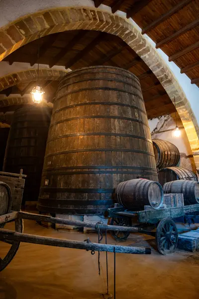 Eski büyük meşe fıçılarıyla şarap mahzeni ziyareti, Marsala, Sicilya 'da güçlendirilmiş kuru veya tatlı marsala şarabı üretimi, İtalya' da şarap endüstrisi