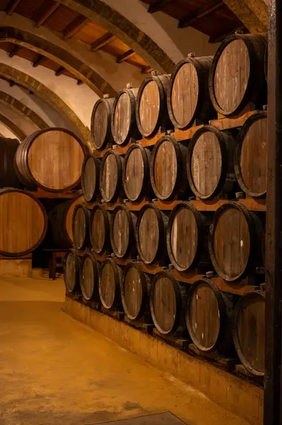 Eski büyük meşe fıçılarıyla şarap mahzeni ziyareti, Marsala, Sicilya 'da güçlendirilmiş kuru veya tatlı marsala şarabı üretimi, İtalya' da şarap endüstrisi