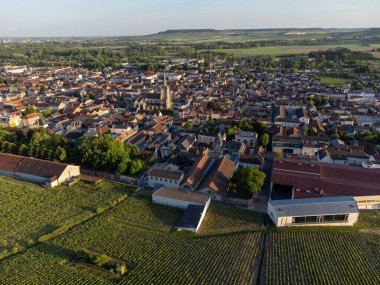 Ay-Champange, Vallee de la Marne, Champagne District, Fransa yakınlarındaki eski yeşil büyük cru cru tepeli şampanya bağlarına, Pinot noir üzüm fabrikalarına ve köydeki eski evlere bakın.