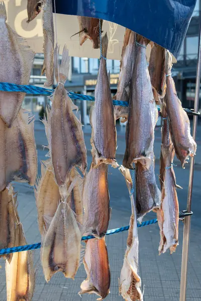 Oostende, Belçika 'da deniz gezintisine havayla ya da tuzlanmış morina balığıyla süslenmiş.