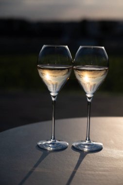 Beyaz şarap brut, büyük rezervler, yeşil üzüm bağlarında şampanya eski şaraplarda büyük Cru Ay-Şampanya köyü Vallee de la Marne 'da, şampanya, Fransa' da günbatımında, düğün konsepti