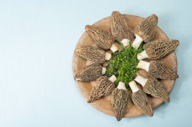 Çiğ bahar mantarları morşeller ya da gerçek mantarlar gurme aşçılar için yenilebilir kese mantarları, Katalan ve Fransız mutfağında, yenilebilir yabani mantarlar