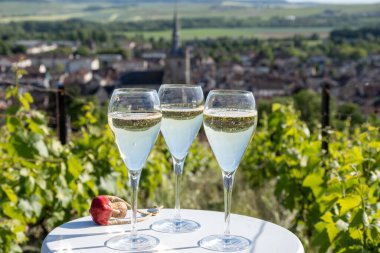 Kuru, köpüklü şarap brut, büyük rezervler, yeşil tepe üzüm bağlarında şampanya ve Vallee de la Marne, Fransa 'nın Şampanya Bölgesi' nde köy yapımı eski şaraplar.
