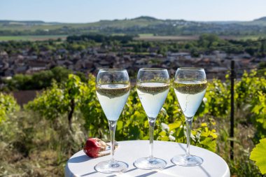 Kuru, köpüklü şarap brut, büyük rezervler, yeşil tepe üzüm bağlarında şampanya ve Vallee de la Marne, Fransa 'nın Şampanya Bölgesi' nde köy yapımı eski şaraplar.