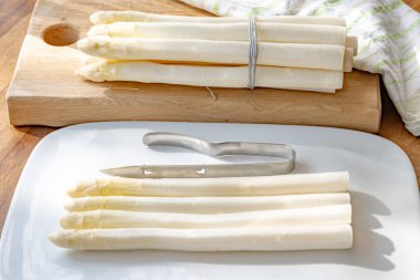 Hollandalı çiftçiler yüksek kaliteli ürünler, yıkanmış ve soyulmuş taze beyaz kuşkonmaz, mevsimlik vejetaryen gıdalar, gün ışığında