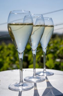 Kuru, köpüklü şarap brut, büyük rezervler, yeşil tepe üzüm bağlarında şampanya ve Vallee de la Marne, Fransa 'nın Şampanya Bölgesi' nde köy yapımı eski şaraplar.
