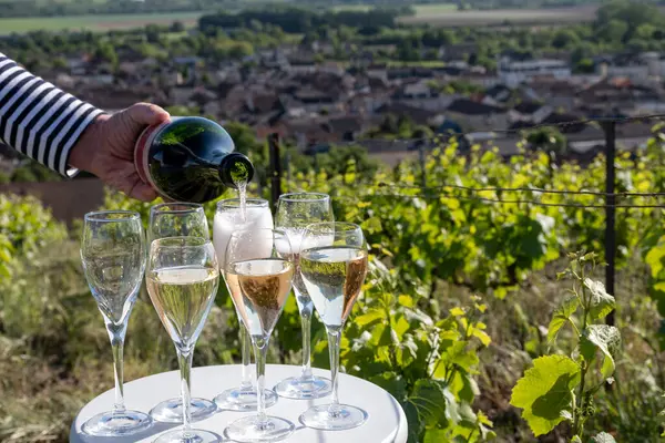 Beyaz ve gül tadım şarap brut, büyük rezerv, yeşil tepe üzüm bağlarında şampanya ve Vallee de la Marne 'da köy yapan eski şarap manzarası, şampanya, Fransa