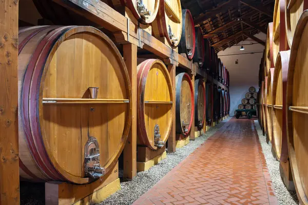 Eski büyük meşe fıçılarıyla şarap mahzeni ziyareti, Marsala, Sicilya 'da güçlendirilmiş kuru veya tatlı marsala şarabı üretimi, İtalya' da şarap endüstrisi