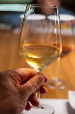 Eski büyük meşe fıçılarıyla şarap mahzeni ziyareti, güçlendirilmiş kuru veya tatlı marsala şarabı ile tatma bardakları Marsala, Sicilya, İtalya 'da şarap endüstrisi