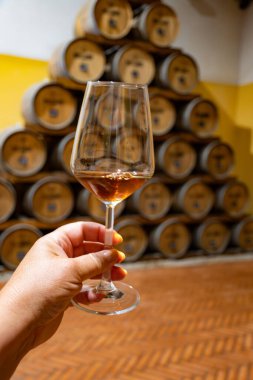 Eski büyük meşe fıçılarıyla şarap mahzenini ziyaret etmek, Marsala, Sicilya, İtalya ve şarap endüstrisindeki varillerden alınmış bir bardak güçlendirilmiş veya lezzetli marsala şarabı.