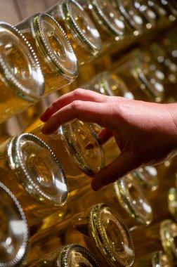 Şampanya şişelerinin elle delik deşik edilmesi geleneksel köpüklü şarap üretimi, şampanya üretimi endüstrisi, Avrupa 'nın bir parçası. İşçinin elleri.