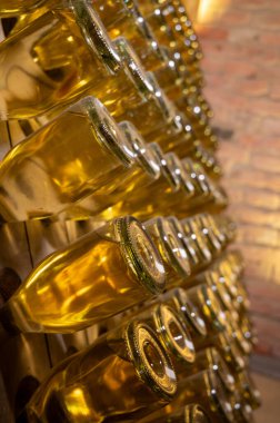 Derin ve uzun yeraltı mağaralarındaki raflarda şişeler şarap ve siyah üzümlerden şampanya yapıyor Reims, Champagne, Fransa 'da