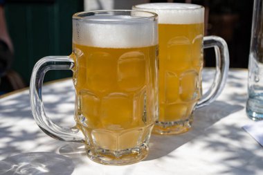 Belçika birası özel bardaklarda servis edilir Bruges 'deki eski bira fabrikasında, açık ya da koyu, lezzetli içecek, birayla öğle yemeği, turizm merkezi, Flanders, Belçika