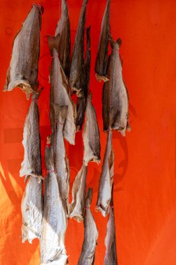 Oostende, Belçika 'da deniz gezintisine havayla ya da tuzlanmış morina balığıyla süslenmiş.