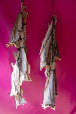 Oostende, Belçika 'da deniz gezintisine havayla ya da tuzlanmış morina balığıyla süslenmiş.