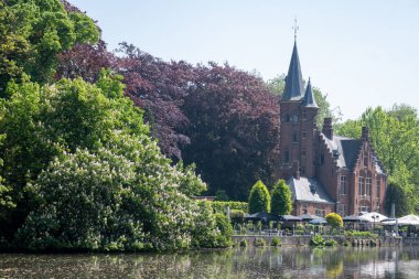Bruges kasabası, Flanders, Belçika 'da güzel eski binaları olan göl ve şehir parkı manzarası.