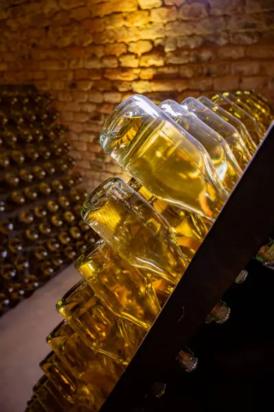 Derin ve uzun yeraltı mağaralarındaki raflarda şişeler şarap ve siyah üzümlerden şampanya yapıyor Reims, Champagne, Fransa 'da