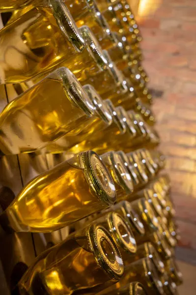 Derin ve uzun yeraltı mağaralarındaki raflarda şişeler şarap ve siyah üzümlerden şampanya yapıyor Reims, Champagne, Fransa 'da