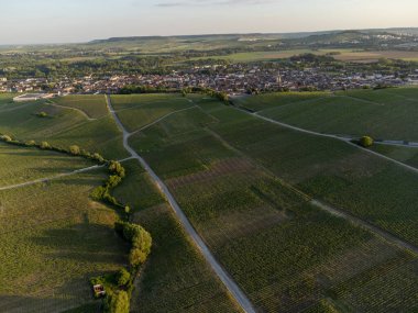 Şampanyalı Ay-Champange, Vallee de la Marne köyü yakınlarındaki Grand Cru tepe üzüm bağlarında yetişen pinot noir üzümlerinin hava manzarası, Fransa 'nın şampanya bölgesi, sıra sıra üzüm bitkileri, günbatımı