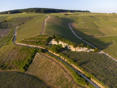 Şampanyalı Ay-Champange, Vallee de la Marne köyü yakınlarındaki Grand Cru tepe üzüm bağlarında yetişen pinot noir üzümlerinin hava manzarası, Fransa 'nın şampanya bölgesi, sıra sıra üzüm bitkileri, günbatımı
