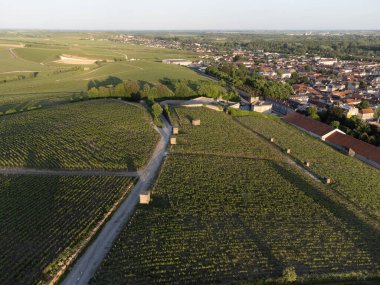 Şampanyalı Ay-Champange, Vallee de la Marne köyü yakınlarındaki Grand Cru tepe üzüm bağlarında yetişen pinot noir üzümlerinin hava manzarası, Fransa 'nın şampanya bölgesi, sıra sıra üzüm bitkileri, günbatımı
