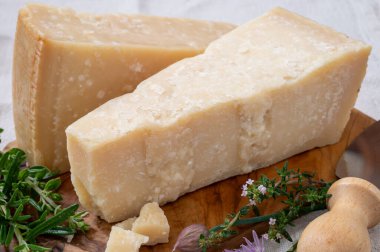 Geleneksel İtalyan yemekleri, 36 aylık mağaralardaki İtalyan parmesan peyniri Parmigiano-Reggiano ve Po River Valley, İtalya 'dan grana padano, yakın çekim.