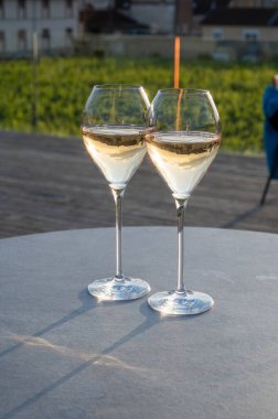 Beyaz şarap brut, büyük rezervler, yeşil üzüm bağlarında şampanya eski şaraplarda büyük Cru Ay-Şampanya köyü Vallee de la Marne 'da, şampanya, Fransa' da günbatımında, düğün konsepti