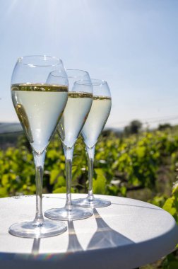 Kuru, köpüklü şarap brut, büyük rezervler, yeşil tepe üzüm bağlarında şampanya ve Vallee de la Marne, Fransa 'nın Şampanya Bölgesi' nde köy yapımı eski şaraplar.