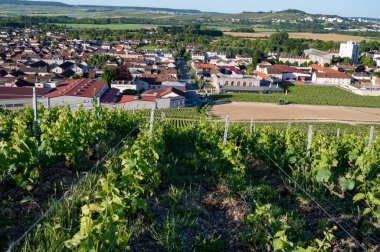 Ay-Champange, Vallee de la Marne, Champagne District, Fransa yakınlarındaki eski yeşil büyük cru cru tepeli şampanya bağlarına, Pinot noir üzüm fabrikalarına ve köydeki eski evlere bakın.