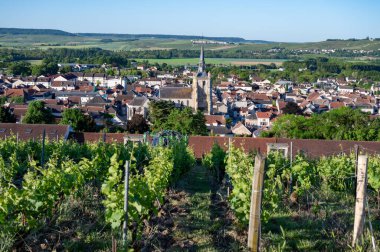Ay-Champange, Vallee de la Marne, Champagne District, Fransa yakınlarındaki eski yeşil büyük cru cru tepeli şampanya bağlarına, Pinot noir üzüm fabrikalarına ve köydeki eski evlere bakın.
