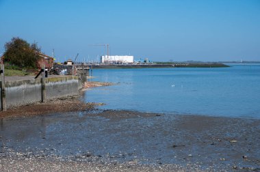 Gelgit zamanı Yerseke 'deki Oosterschelde' ye bakın, çeşitli yabani deniz kabukları ve istiridyelerin toplanıp yenmesine izin veriliyor, Zeeland, Hollanda