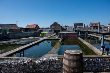 Zeeuwse Creuse marka istiridyelerin Zeeland, Yerseke, Hollanda 'daki Oosterschelde istiridye üreme çiftliğinde toplandığı kutularca olgun ve satılmaya hazır kutu.