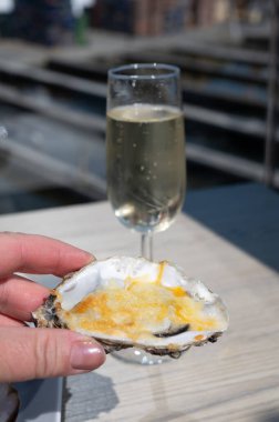 Yerseke 'de canlı istiridye, Oosterschelde, Zeeland, Hollanda' da taze Zeeuwse kremalı istiridye yemek ya da tatmak.
