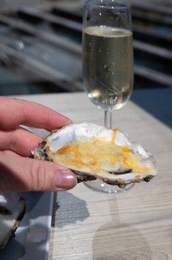 Yerseke 'de canlı istiridye, Oosterschelde, Zeeland, Hollanda' da taze Zeeuwse kremalı istiridye yemek ya da tatmak.