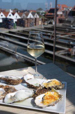 Yerseke 'de canlı istiridye, Oosterschelde, Zeeland, Hollanda' da taze Zeeuwse kremalı istiridye yemek ya da tatmak.