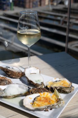 Yerseke 'de canlı istiridye, Oosterschelde, Zeeland, Hollanda' da taze Zeeuwse kremalı istiridye yemek ya da tatmak.