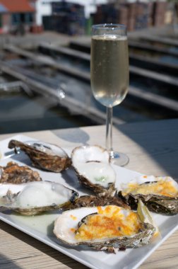 Yerseke 'de canlı istiridye, Oosterschelde, Zeeland, Hollanda' da taze Zeeuwse kremalı istiridye yemek ya da tatmak.