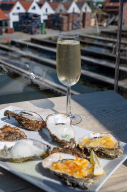 Yerseke 'de canlı istiridye, Oosterschelde, Zeeland, Hollanda' da taze Zeeuwse kremalı istiridye yemek ya da tatmak.