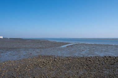 Gelgit zamanı Yerseke 'deki Oosterschelde' ye bakın, çeşitli yabani deniz kabukları ve istiridyelerin toplanıp yenmesine izin veriliyor, Zeeland, Hollanda